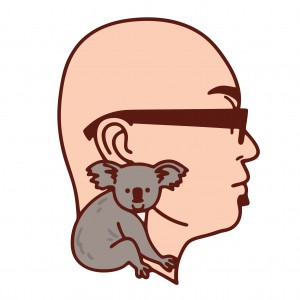 âºñY³ñ